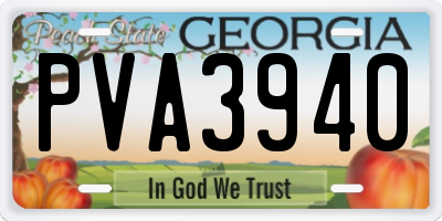 GA license plate PVA3940