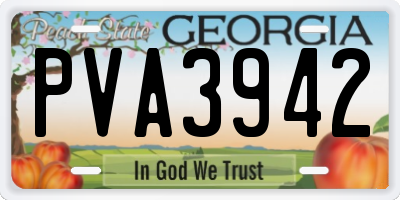 GA license plate PVA3942