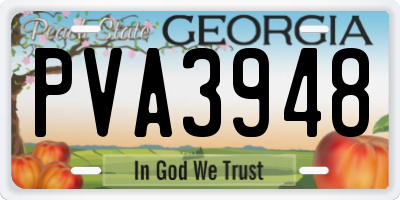 GA license plate PVA3948