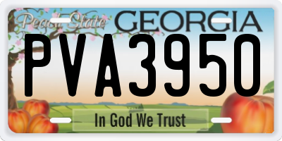 GA license plate PVA3950