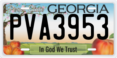 GA license plate PVA3953