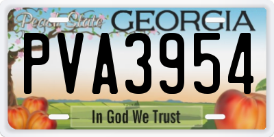 GA license plate PVA3954