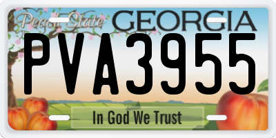 GA license plate PVA3955