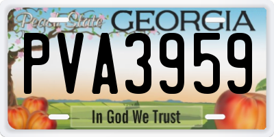 GA license plate PVA3959
