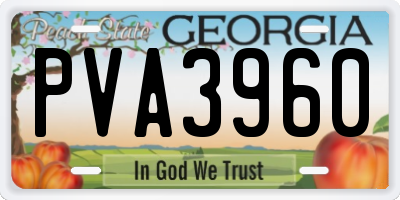 GA license plate PVA3960