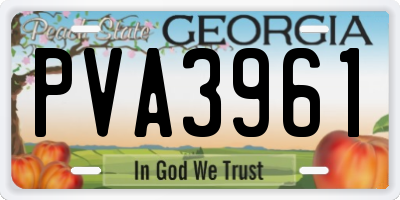 GA license plate PVA3961