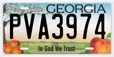 GA license plate PVA3974