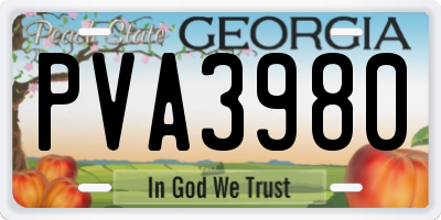 GA license plate PVA3980