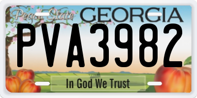 GA license plate PVA3982