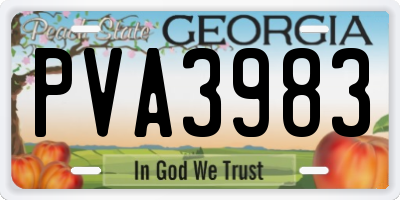 GA license plate PVA3983