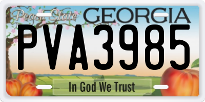 GA license plate PVA3985