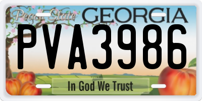 GA license plate PVA3986