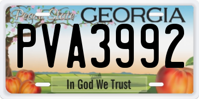 GA license plate PVA3992