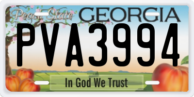 GA license plate PVA3994