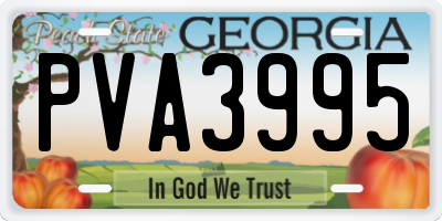GA license plate PVA3995