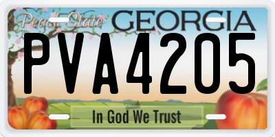 GA license plate PVA4205