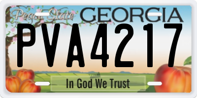 GA license plate PVA4217