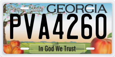 GA license plate PVA4260