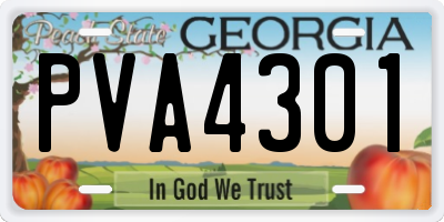 GA license plate PVA4301
