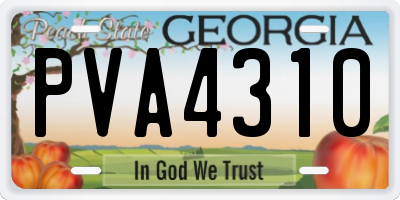 GA license plate PVA4310