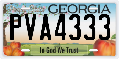 GA license plate PVA4333