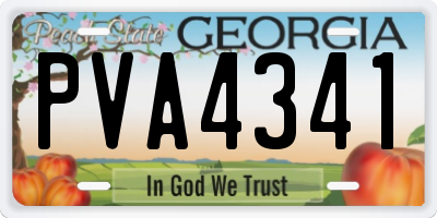 GA license plate PVA4341