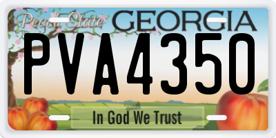 GA license plate PVA4350