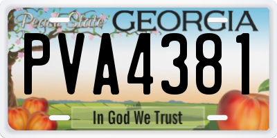 GA license plate PVA4381