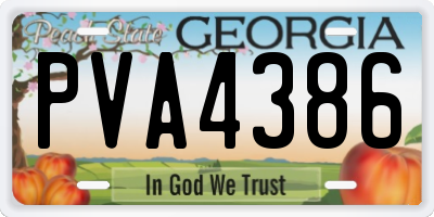 GA license plate PVA4386
