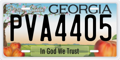 GA license plate PVA4405