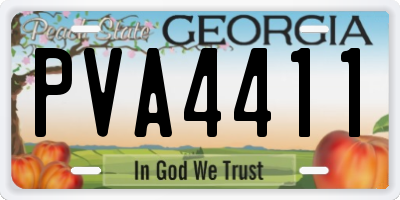 GA license plate PVA4411