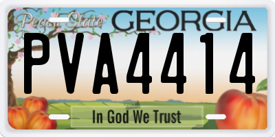 GA license plate PVA4414