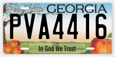 GA license plate PVA4416