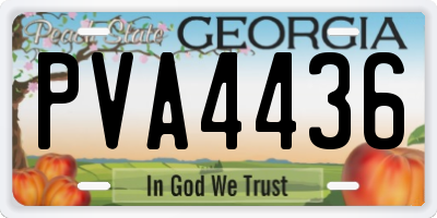 GA license plate PVA4436