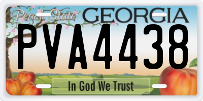 GA license plate PVA4438