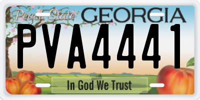 GA license plate PVA4441