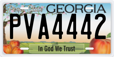 GA license plate PVA4442