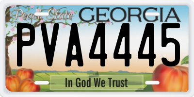 GA license plate PVA4445