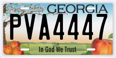 GA license plate PVA4447