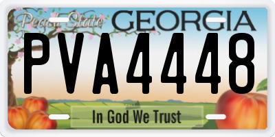 GA license plate PVA4448