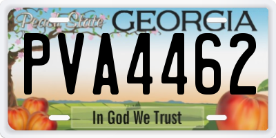 GA license plate PVA4462