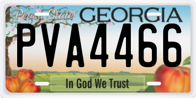 GA license plate PVA4466