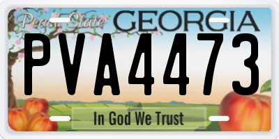 GA license plate PVA4473