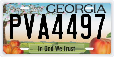 GA license plate PVA4497
