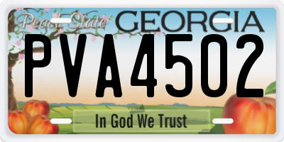 GA license plate PVA4502
