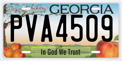 GA license plate PVA4509