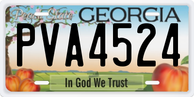 GA license plate PVA4524