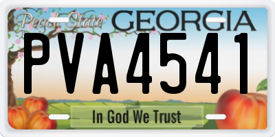 GA license plate PVA4541