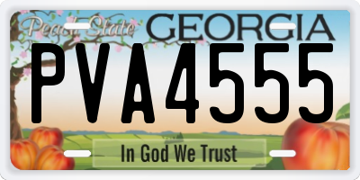 GA license plate PVA4555