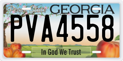 GA license plate PVA4558